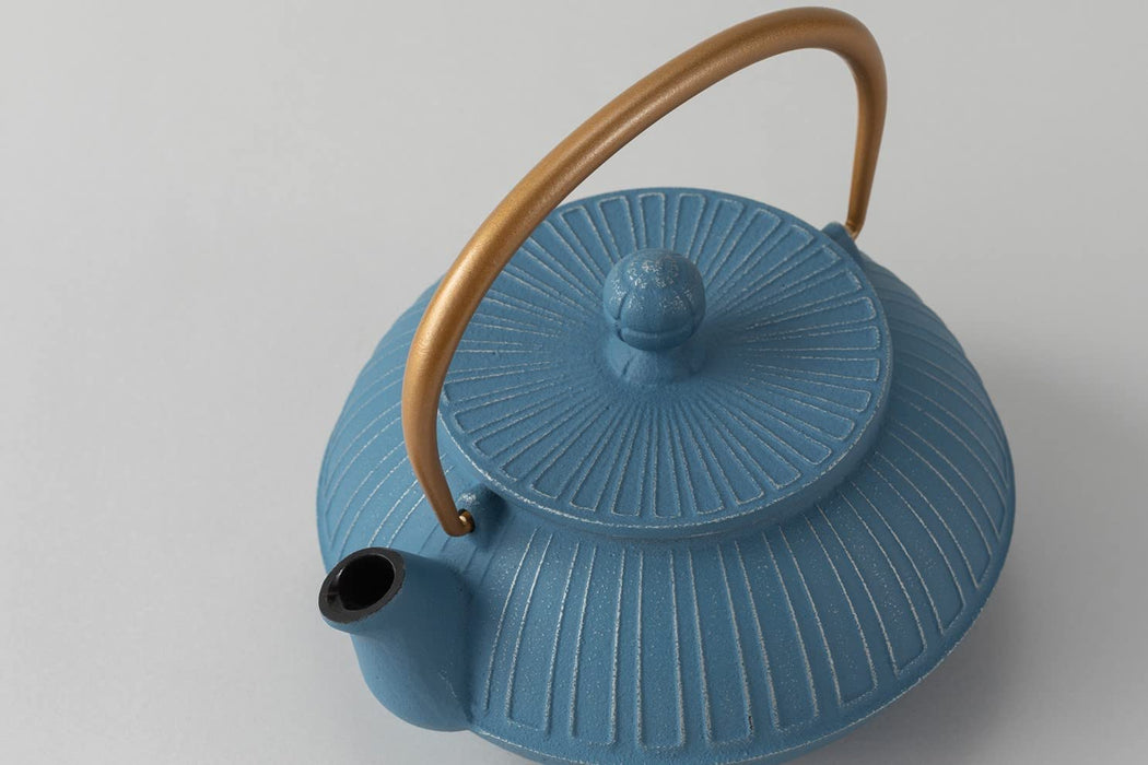 Iwachu Nambu Ironware Teapot 0.65L Chrysanthemum Design Silver Sky Blue-Kiichin - The #1 Place for Japanese Goods in Your Hand!