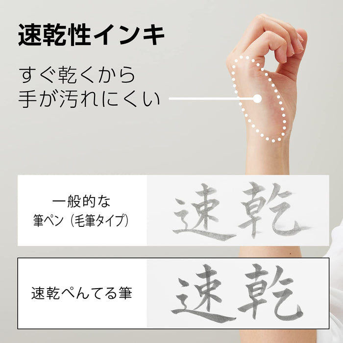 Pentel Quick Dry Brush Pen with 10 Light Ink Cartridges XFRPD-N-Kiichin - The #1 Place for Japanese Goods in Your Hand!