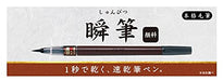 Pilot Medium Point Quick Dry Black Brush Pen Authentic Pigment - Svsg80Fdmb-Kiichin - The #1 Place for Japanese Goods in Your Hand!