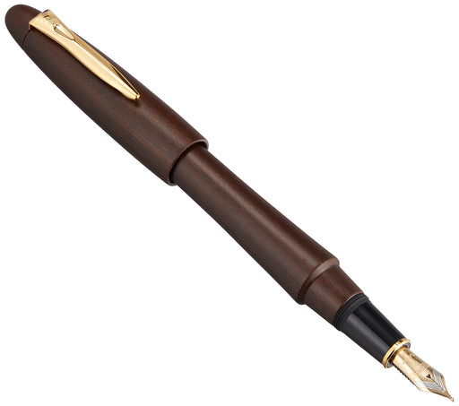Platinum Izumo Tetsutoki Bold Fountain Pen with Matte Finish and Dual-Use Converter-Kiichin - The #1 Place for Japanese Goods in Your Hand!