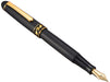 Platinum Fountain Pen #3776 with Medium Point and Higo Inlay Ginkgo Ptb-30000Z-Kiichin - The #1 Place for Japanese Goods in Your Hand!