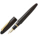 Medium Point Platinum Izumo Tetsutoki Fountain Pen by Platinum Fountain Pen-Kiichin - The #1 Place for Japanese Goods in Your Hand!