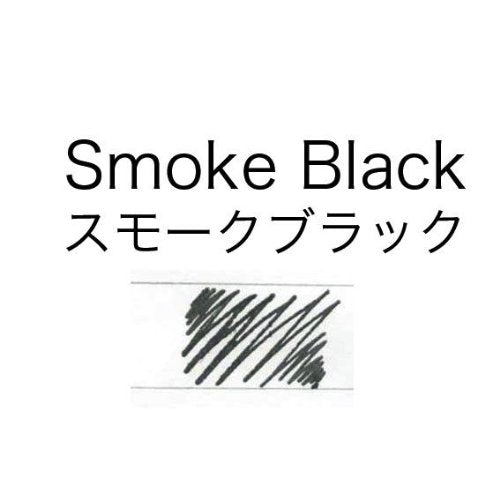 Platinum Fountain Pen Smoke Black Mixable InkM-1200 Water-Based Dye-Kiichin - The #1 Place for Japanese Goods in Your Hand!