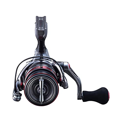 Shimano 21 Sephia Xr C3000S Eging Spinning Reel for Superior Performance-Kiichin - The #1 Place for Japanese Goods in Your Hand!
