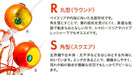 Shimano Tairaba Engetsu S 100G Orange Silver Head for Sea Bream Saltwater-Kiichin - The #1 Place for Japanese Goods in Your Hand!