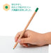 Tombow Hello Nature Red Panda 12-Color Colored Pencils Set-Kiichin - The #1 Place for Japanese Goods in Your Hand!