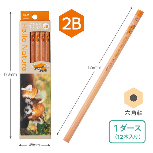 Tombow 2B Drawing Pencil - Hello Nature Red Panda Series-Kiichin - The #1 Place for Japanese Goods in Your Hand!