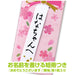 Tombow Ippo Celebration 2B Pencil in Plain Blue MP-KM02-2B Model-Kiichin - The #1 Place for Japanese Goods in Your Hand!