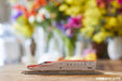 Tomytec Tomix N Gauge 323 Series Osaka Loop Line FM-008 Railway Model Train-Kiichin - The #1 Place for Japanese Goods in Your Hand!