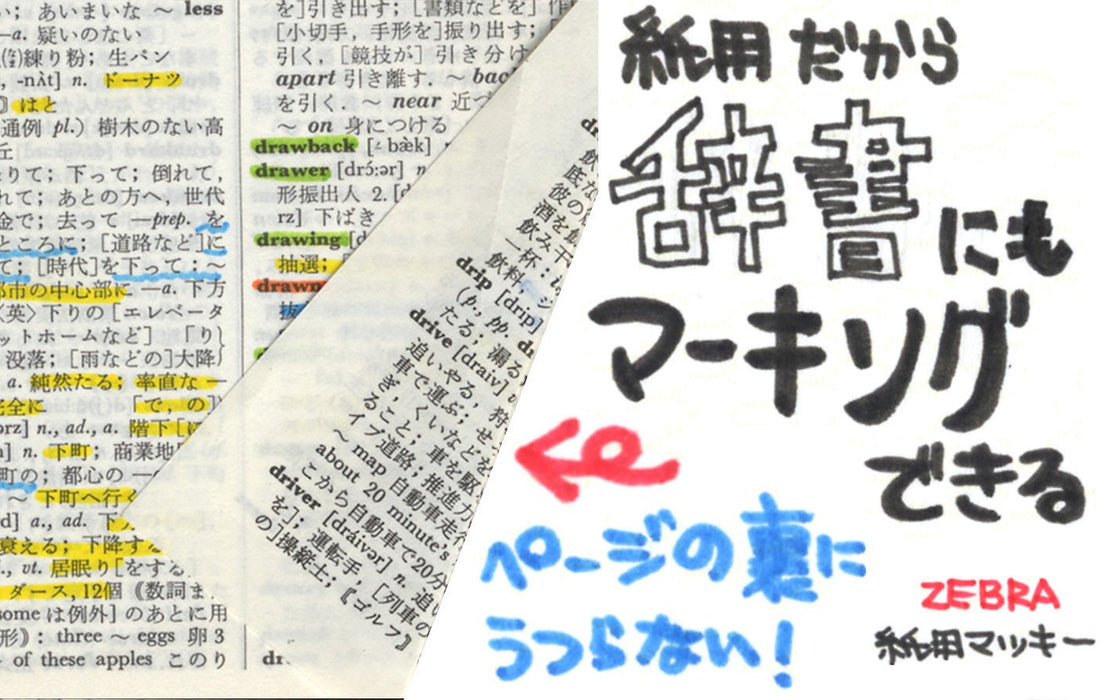 Zebra 10-Piece Light Green Water-Based Pen Paper Mackie B-Wyt5-Lg Set-Kiichin - The #1 Place for Japanese Goods in Your Hand!