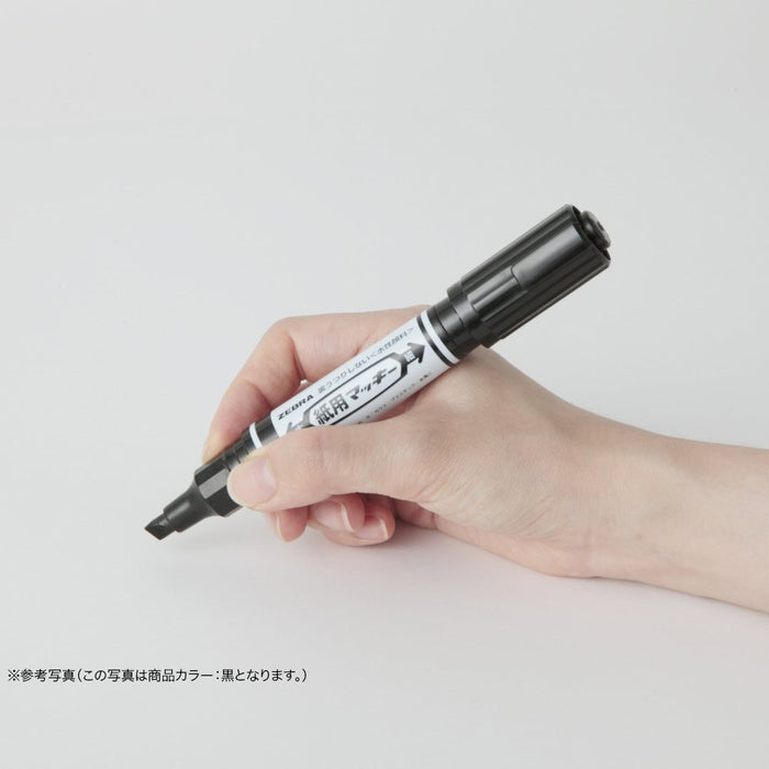 Zebra 10-Piece Light Green Water-Based Pen Paper Mackie B-Wyt5-Lg Set-Kiichin - The #1 Place for Japanese Goods in Your Hand!
