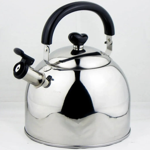 Nagao Tsubame Sanjo Stainless Steel Induction Compatible Kettle