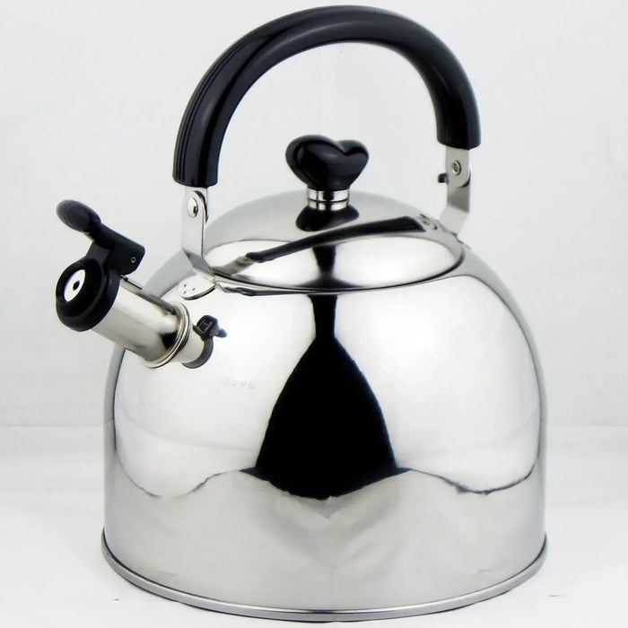 Nagao Tsubame Sanjo Stainless Steel Induction Compatible Kettle