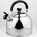 Nagao Tsubame Sanjo Stainless Steel Induction Compatible Kettle