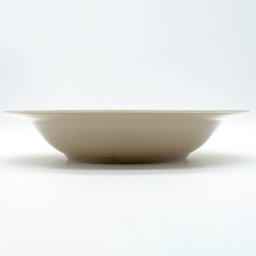Aito Anyware Bowl Plate L 21cm Fleurage Navy Mino Ware 111042-Kiichin - The #1 Place for Japanese Goods in Your Hand!