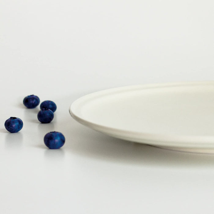 Aito Ciel Ciel Cafe Plate Large 23cmx2cm White Mino Yaki Dish 520108-Kiichin - The #1 Place for Japanese Goods in Your Hand!