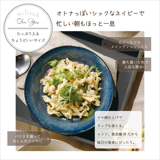 Aito Seisakusho Natural Color Curry Plate Pasta Plate 21Cm Navy Mino Ware 517016-Kiichin - The #1 Place for Japanese Goods in Your Hand!