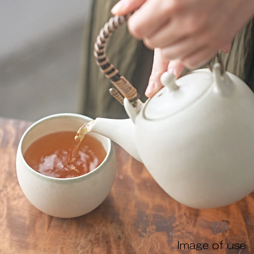 Aito Seisakusho Moon White Mino Ware Teapot 560ml Made in Japan-Kiichin - The #1 Place for Japanese Goods in Your Hand!