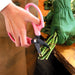 Ars Corporation Fp-17-Bk Commercial Flower Scissors Fleur (Black)-Kiichin - The #1 Place for Japanese Goods in Your Hand!