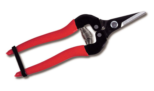 Ars Corp Fruit Thinning Shears S 300S Boxed-Kiichin - The #1 Place for Japanese Goods in Your Hand!
