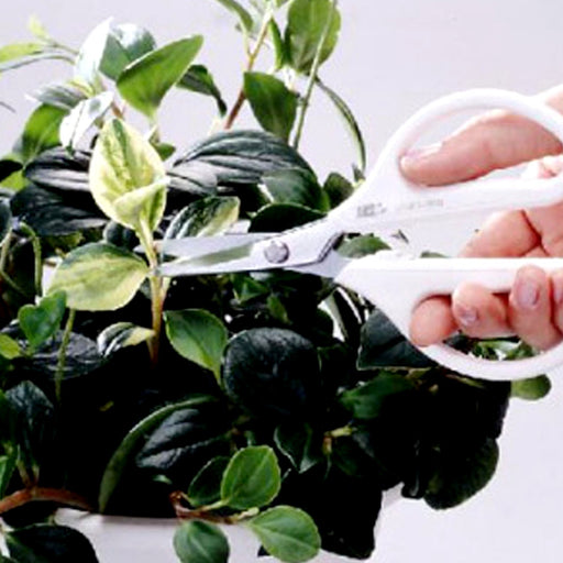 Ars Corp Choki Ars Nouveau 3000-Bk Black-Kiichin - The #1 Place for Japanese Goods in Your Hand!