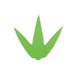 Asahi Sogyo Japan Baran Sushi Leaf Decoration (1000 Pcs) - Sanmai Sasa Small-Kiichin - The #1 Place for Japanese Goods in Your Hand!