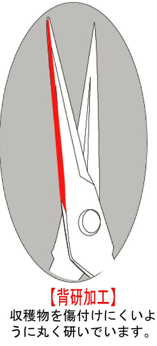 Chikamasa T-551 Bud Cutting Scissors 50x185x17mm-Kiichin - The #1 Place for Japanese Goods in Your Hand!