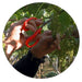 Chikamasa B-500S Stainless Steel Grape Shears-Kiichin - The #1 Place for Japanese Goods in Your Hand!