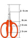 Chikamasa B-500S Stainless Steel Grape Shears-Kiichin - The #1 Place for Japanese Goods in Your Hand!