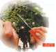 Chikamasa B-500S Stainless Steel Grape Shears-Kiichin - The #1 Place for Japanese Goods in Your Hand!