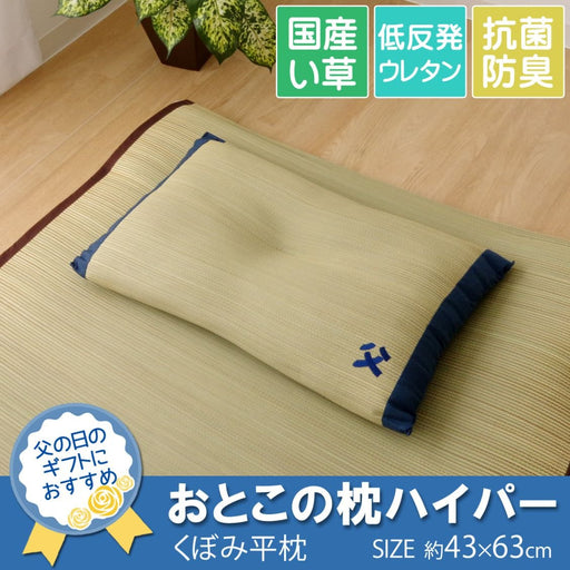 Ikehiko Corp Japan Made Rush Pillow - Hyper Deodorizing Man's Pillow-Kiichin - The #1 Place for Japanese Goods in Your Hand!