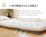 Ikehiko Corp Japan Rush Mattress 100X210Cm Single - Green-Kiichin - The #1 Place for Japanese Goods in Your Hand!