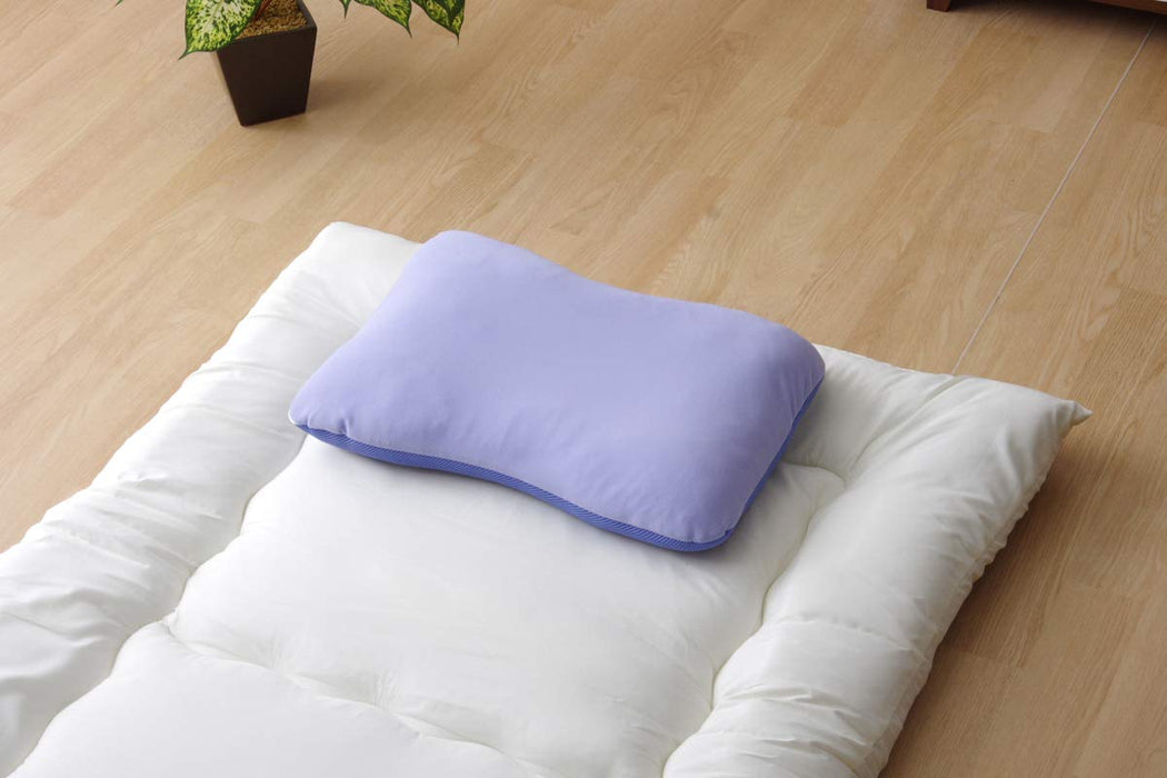 Ikehiko Corporation Pillow Washable Antibacterial Deodorizer (38x56cm)-Kiichin - The #1 Place for Japanese Goods in Your Hand!