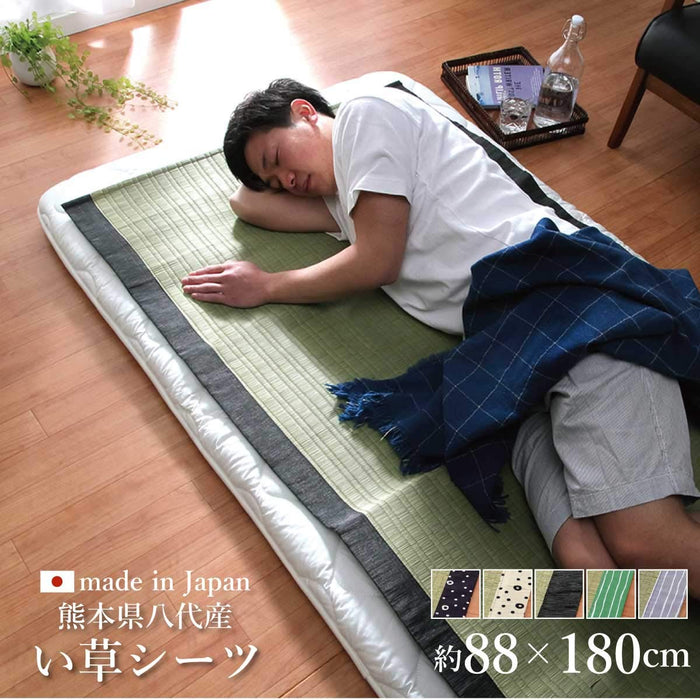 Ikehiko Corp Gray Hiba Rug Rush Sheets 88X180Cm Japan #6508009-Kiichin - The #1 Place for Japanese Goods in Your Hand!