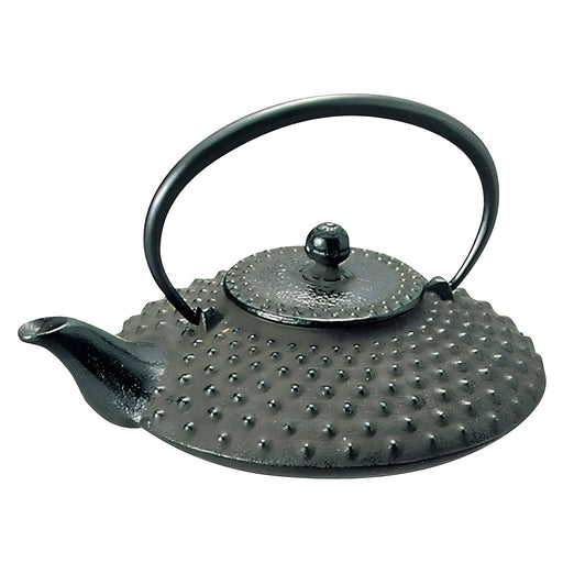 Iwachu Nambu Cast Iron Atsukan Warming Bottle Arare - Premium Heat Retaining Flask-Kiichin - The #1 Place for Japanese Goods in Your Hand!