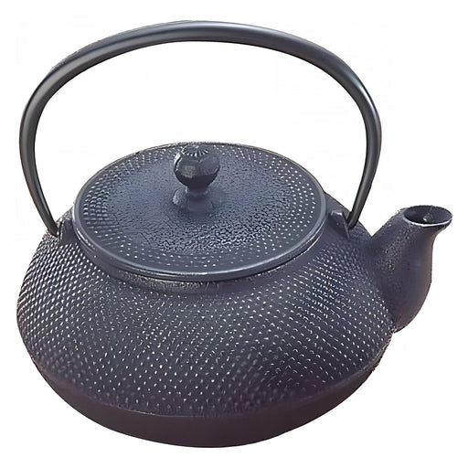 Iwachu Nambu Cast Iron Japanese Teapot Arare 300Ml - Authentic Traditional Tea Brewer-Kiichin - The #1 Place for Japanese Goods in Your Hand!
