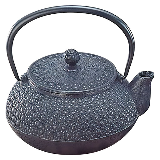 Iwachu Nambu Cast Iron Teapot Kikko 650ml - Authentic Japanese Tea Brewing Essential-Kiichin - The #1 Place for Japanese Goods in Your Hand!