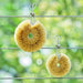 Kamenoko-Tawashi Small White Scrubber Palm - Made in Japan-Kiichin - The #1 Place for Japanese Goods in Your Hand!