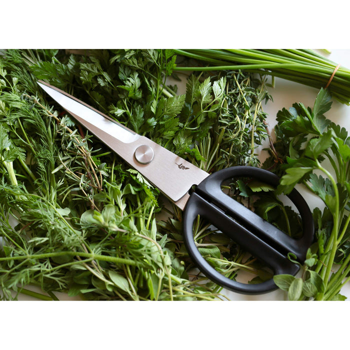 Michel Bras Kitchen Scissors Small-Kiichin - The #1 Place for Japanese Goods in Your Hand!