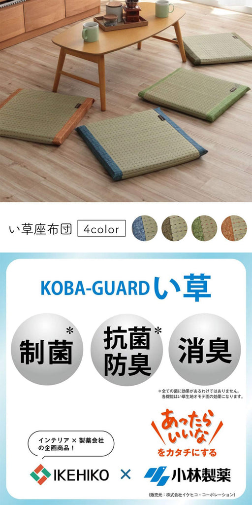 Ikehiko Kobayashi's Japanese Rush Zabuton Clear Blue-Kiichin - The #1 Place for Japanese Goods in Your Hand!