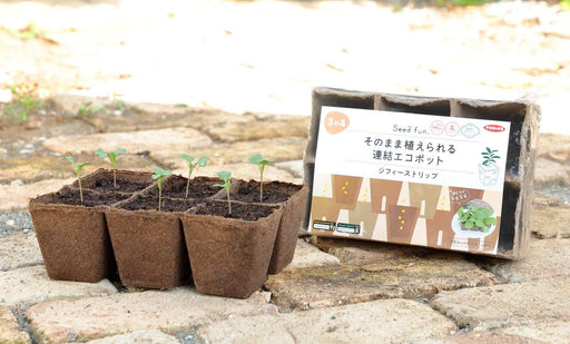 Sakata Seeds Eco Pot Plant Jiffy Strip 8Cm - 6/4Pcs-Kiichin - The #1 Place for Japanese Goods in Your Hand!