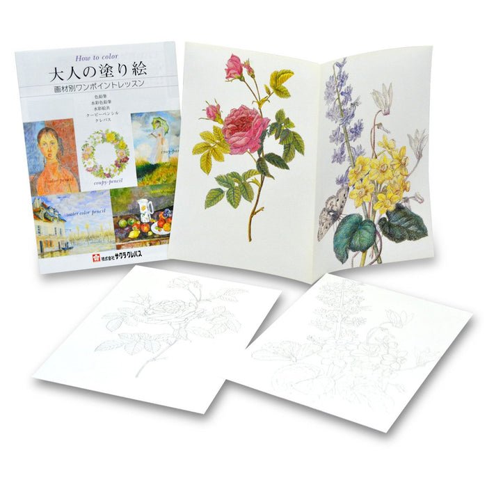 Sakura Crepas 30-Color Japanese Colored Pencils - Fy30Nu-Kiichin - The #1 Place for Japanese Goods in Your Hand!
