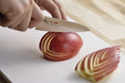 Shimomura Kougyou MBS-106 125mm Petty Knife Molybdenum Vanadium Steel Dishwasher Safe Made in Japan-Kiichin - The #1 Place for Japanese Goods in Your Hand!