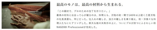 Mitsubishi Nagomi Professional 270mm Slicer Knife-Kiichin - The #1 Place for Japanese Goods in Your Hand!