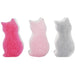 Wise 15 Pack Cat Melamine Sponge Set Made In Japan-Kiichin - The #1 Place for Japanese Goods in Your Hand!